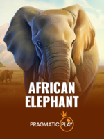 African-Elephant