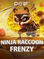 Ninja Raccoon Frenzy Terbaru untuk Pemula: Review dan Panduan